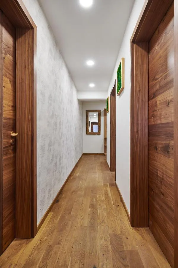 Apartment Adelka 106 スピンドレルフ・ムリン チェコ